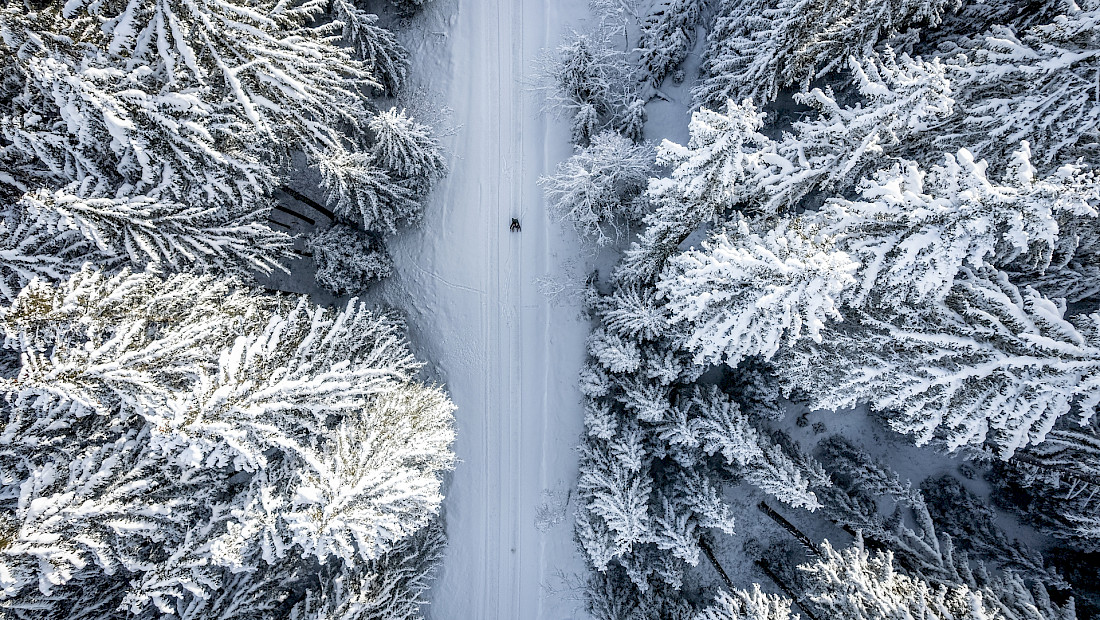 Schneelandschaft &copy; TVB Gro&szlig;arltal/Gipfelfieber